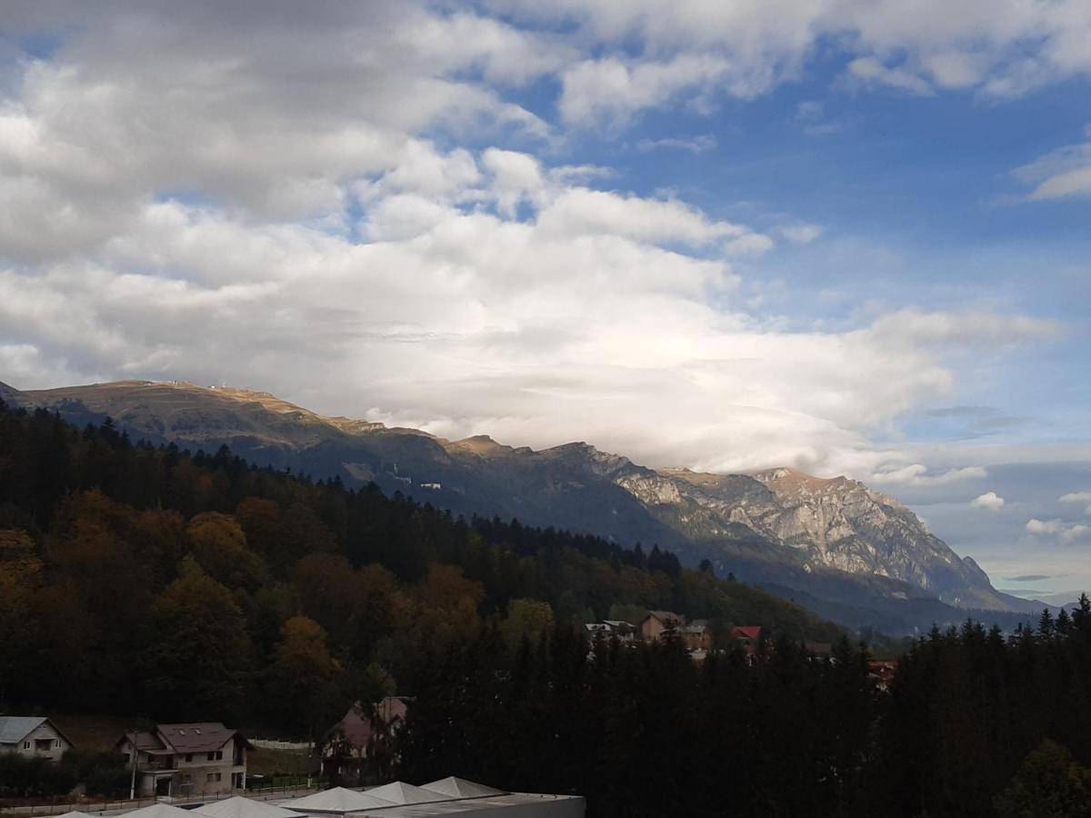 Ferienwohnung Bucegi View 39 - Colina Marei Sinaia Exterior foto