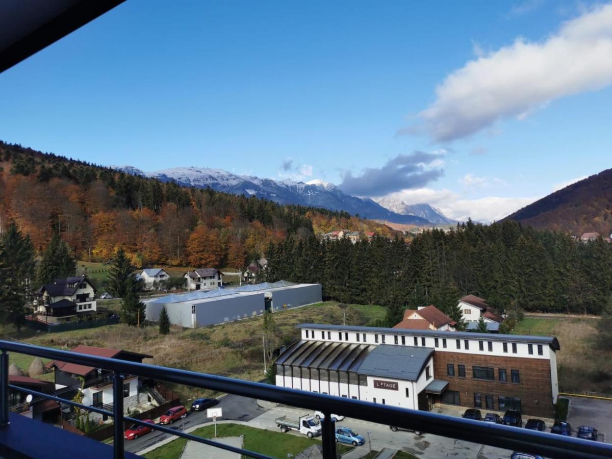 Ferienwohnung Bucegi View 39 - Colina Marei Sinaia Exterior foto