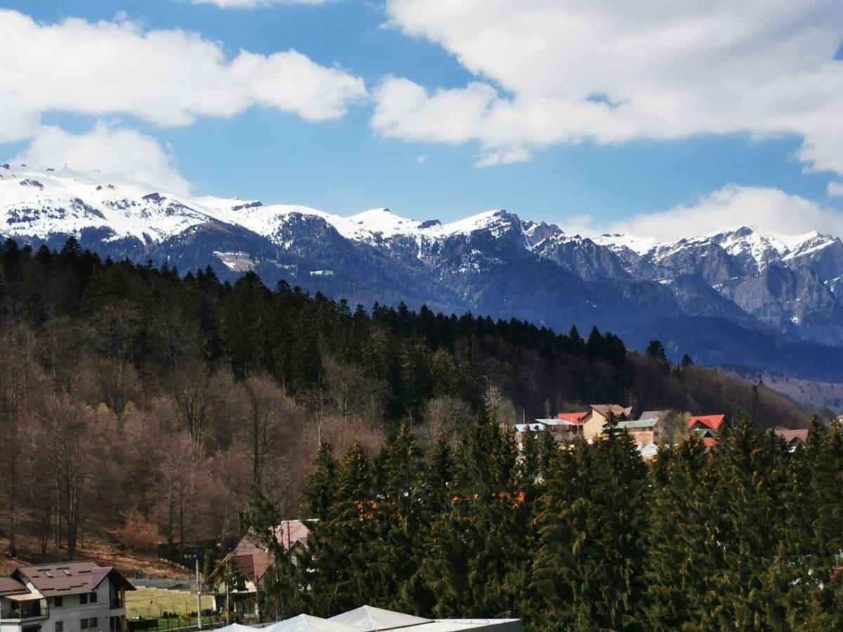 Ferienwohnung Bucegi View 39 - Colina Marei Sinaia Exterior foto